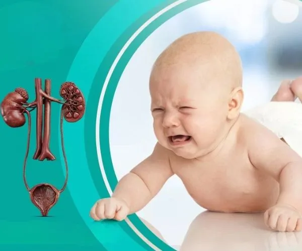 شكل خصية الرضيع والمولود الجديد بالصور — الطبيعي والغير طبيعي 5 شكل خصية الطفل