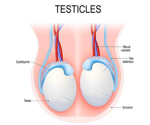 انتفاخ كيس الصفن