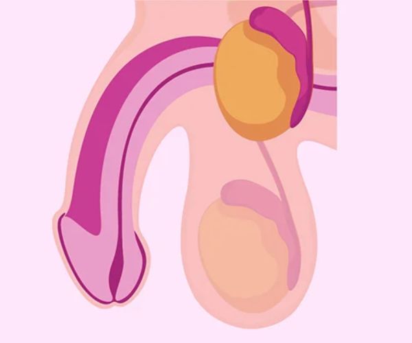 اضرار الخصية المعلقة
