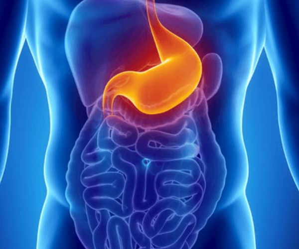 اعراض التهاب الجهاز الهضمي