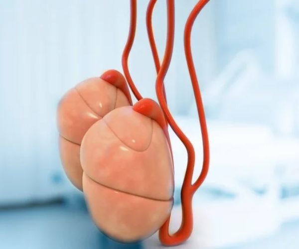 عملية الخصية المعلقة