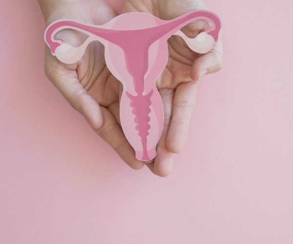 الجهاز التناسلي للطفلة الرضيعة