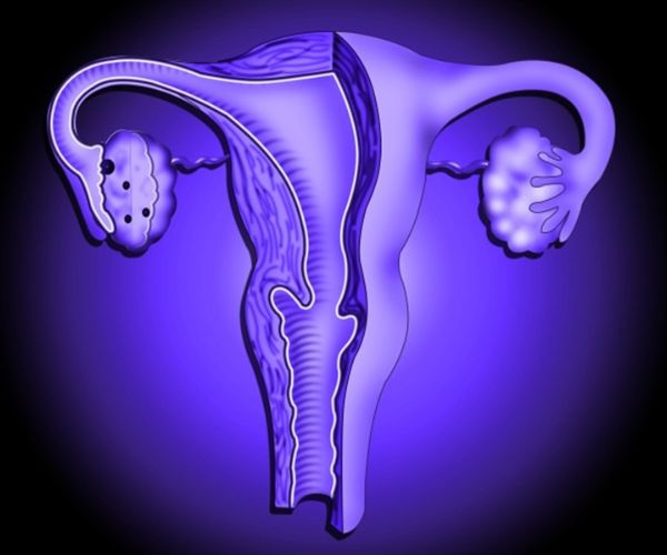 الجهاز التناسلي للطفلة الرضيعة