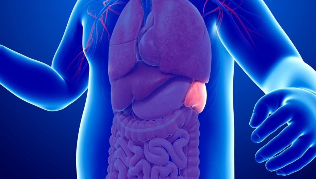 استئصال الطحال للاطفال