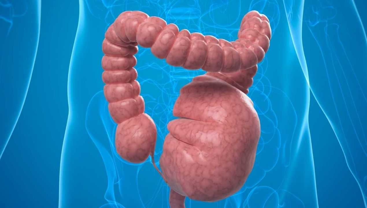 تعرف علي اعراض تضخم القولون واسبابه وطرق علاجه