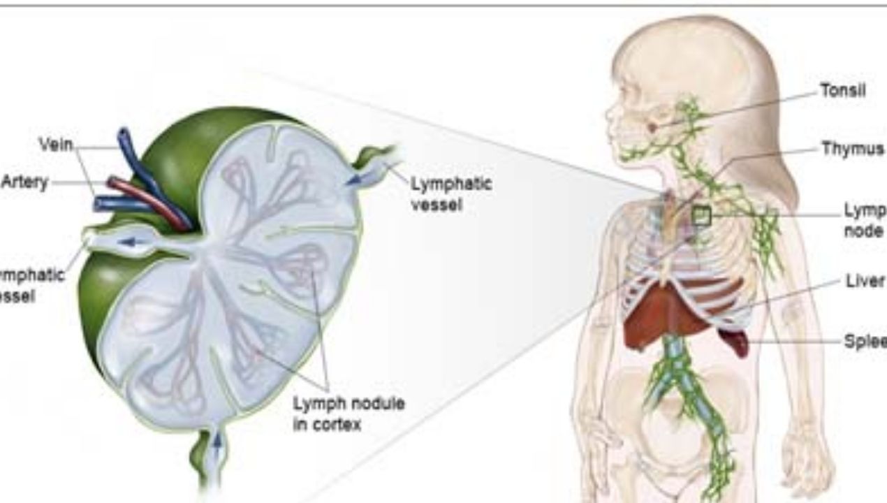ما هي اعراض سرطان الغدد الليمفاوية عند الاطفال؟
