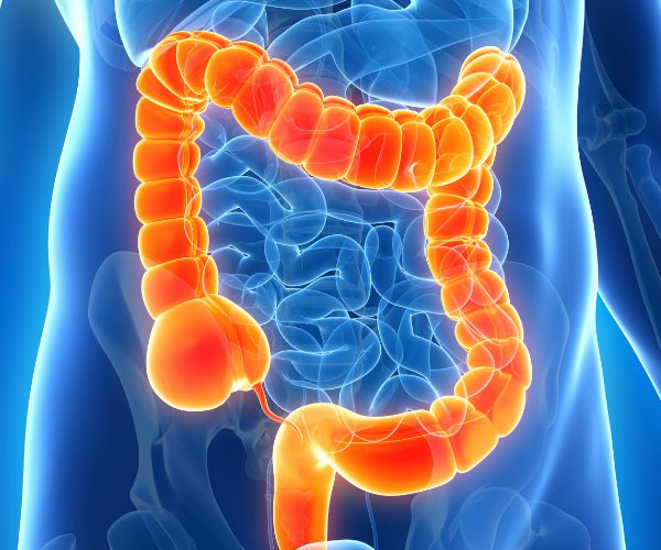 اعراض اعصاب القولون