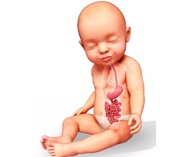 طرق علاج ضيق المريء