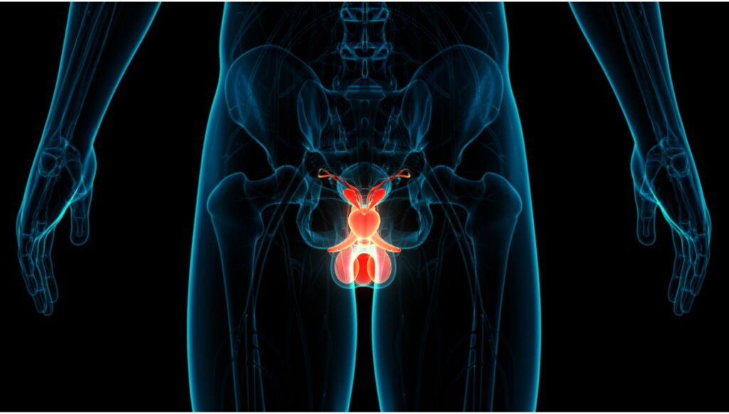 اسباب تورم الخصية عند الاطفال​