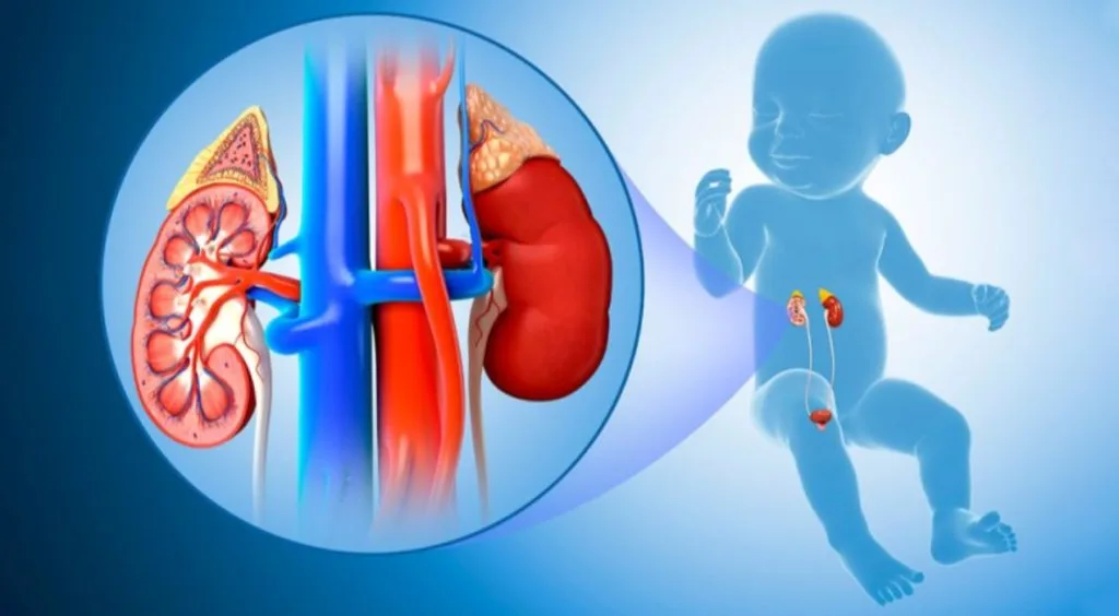 عملية الإحليل السفلي لدى الأطفال والرضع